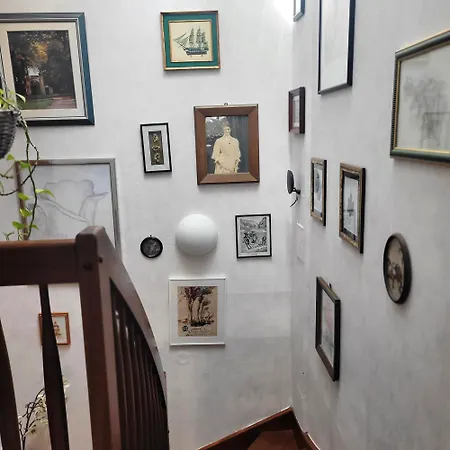 Tatil Evi Logis Am Park