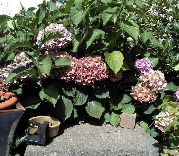 洛基撕公园度假屋 Dessau-Rosslau